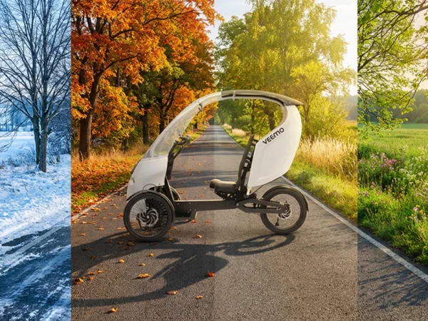 veemo-e-trike-2